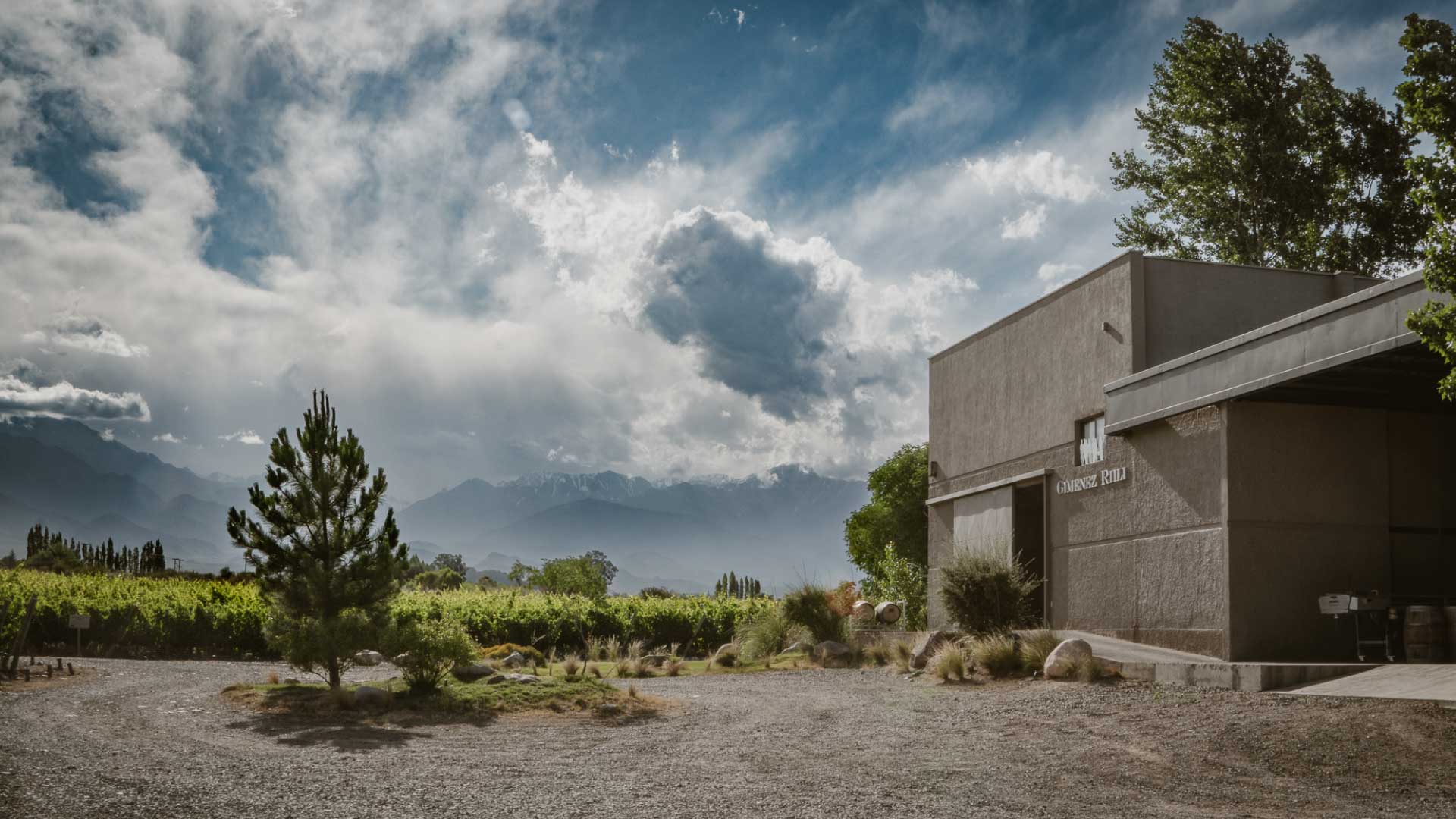 Bodega Gimenez Riili entre viñedos en Los Chacayes, Valle de Uco, Mendoza